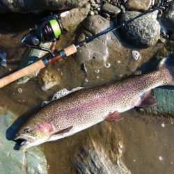 朝は爆風、午後は穏やか ～天竜川ルアーフライ専用区～